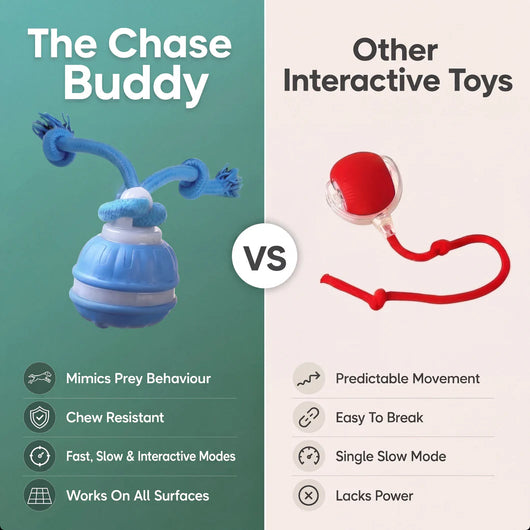Chase Buddy