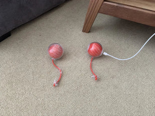 Other toys sit there. This one runs.