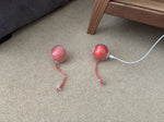 Other dog toys